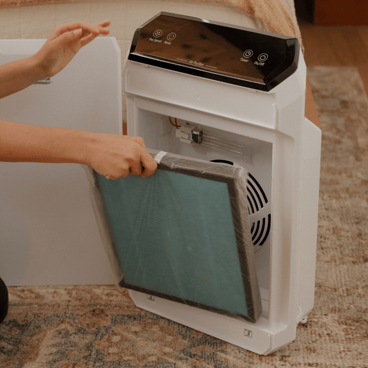 AIR FILTER - Replacement Filter