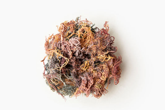 Raw Full Spectrum Sea Moss