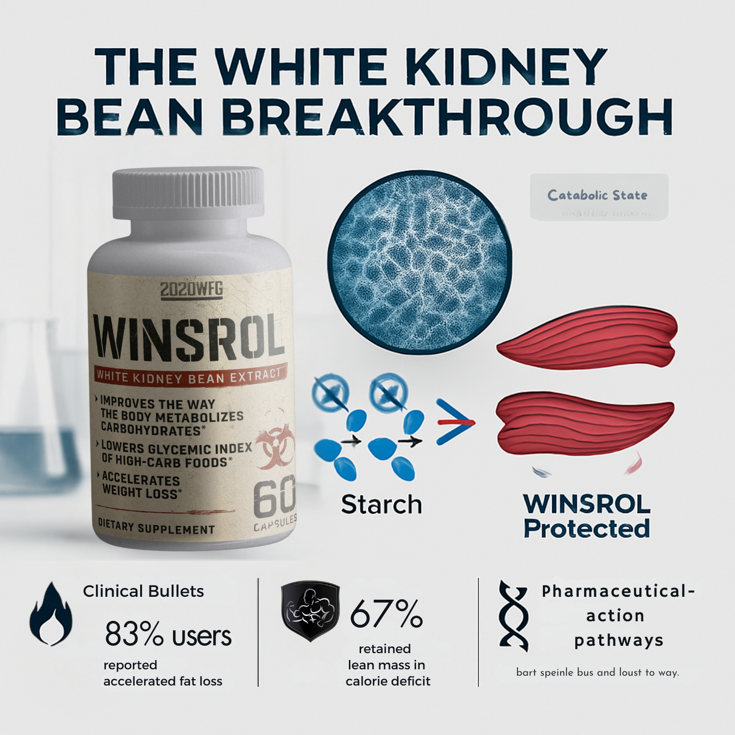 WINSROL: Metabolic Definition Catalyst | 60 Capsules – White Kidney Bean & Natural Actives for Lean Physique Support