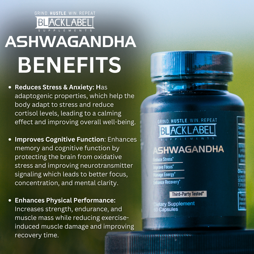 Key benefits of Sensoril® Ashwagandha: stress relief, improved focus, enhanced recovery.