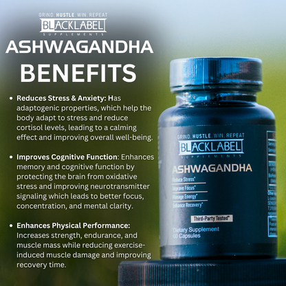 Key benefits of Sensoril® Ashwagandha: stress relief, improved focus, enhanced recovery.