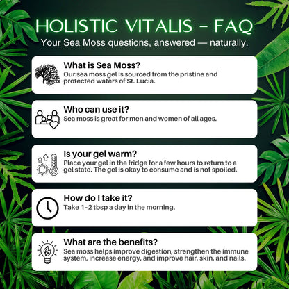 Elderberry & Soursop Sea Moss Gel | Organic Wildcrafted Immunity & Energy Blend (Fresh)