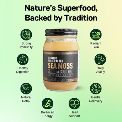 Elderberry & Soursop Sea Moss Gel | Organic Wildcrafted Immunity & Energy Blend (Fresh)