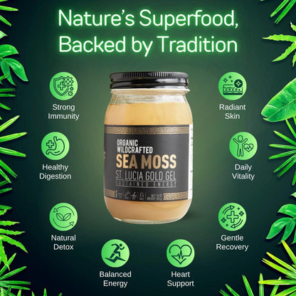 Pineapple Skies Sea Moss Gel Trio