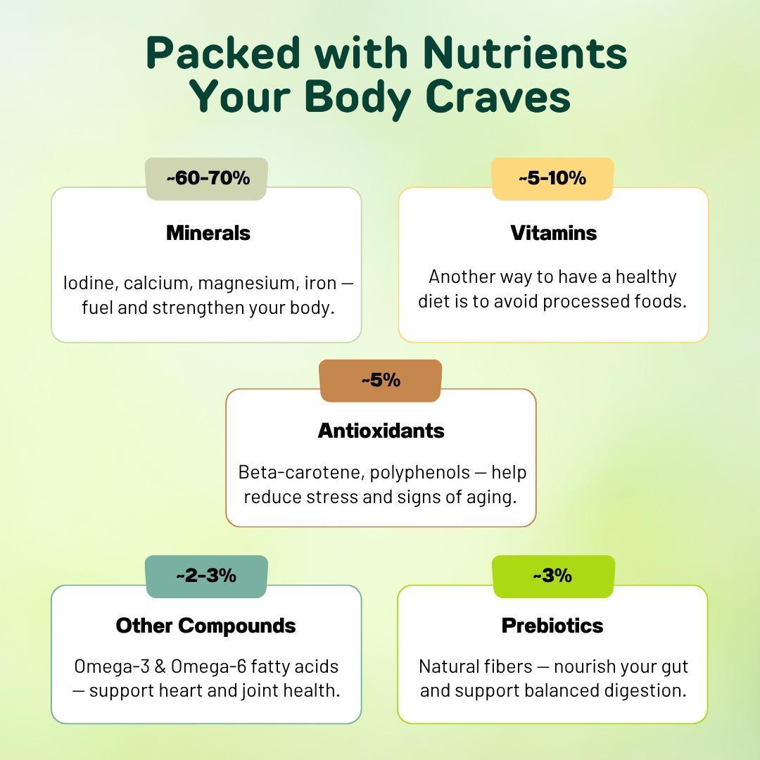 Elderberry & Soursop Sea Moss Gel | Organic Wildcrafted Immunity & Energy Blend (Fresh)