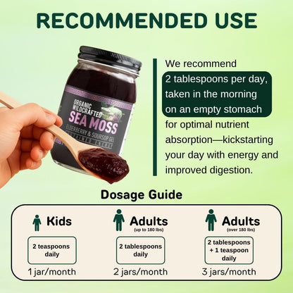 Strawberry Banana Sea Moss Gel / Organic Wildcrafted Oasis Blend (Fresh, Ready-to-Use)