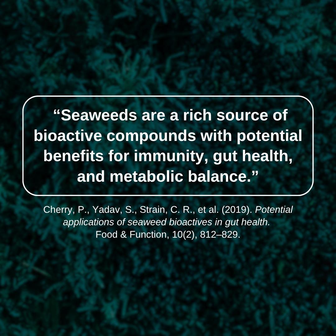 Strawberry Banana Sea Moss Gel / Organic Wildcrafted Oasis Blend (Fresh, Ready-to-Use)