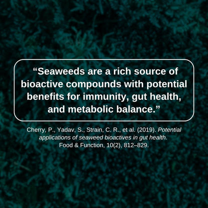 Strawberry Banana Sea Moss Gel / Organic Wildcrafted Oasis Blend (Fresh, Ready-to-Use)