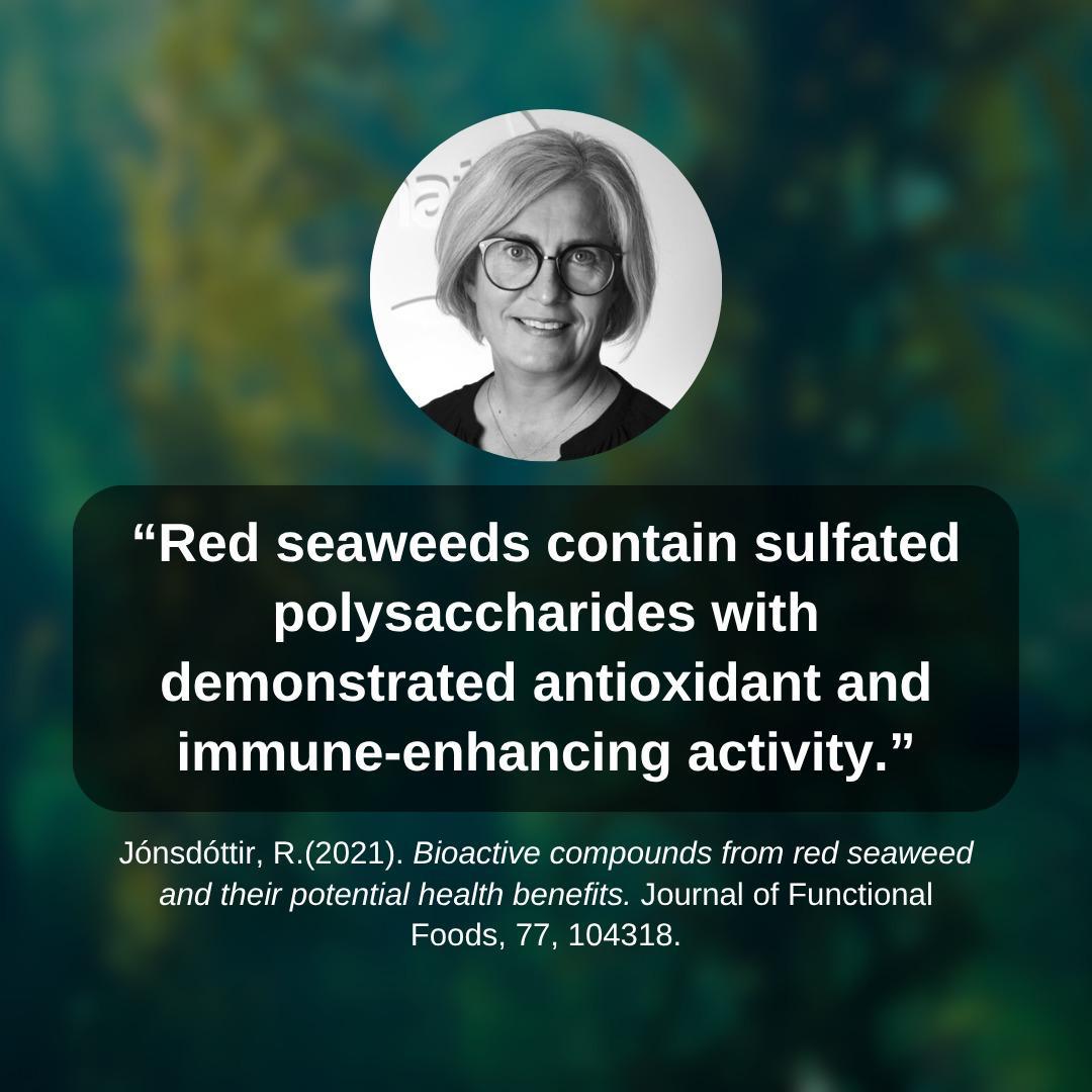 Elderberry & Soursop Sea Moss Gel | Organic Wildcrafted Immunity & Energy Blend (Fresh)