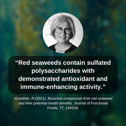 Elderberry & Soursop Sea Moss Gel Trio