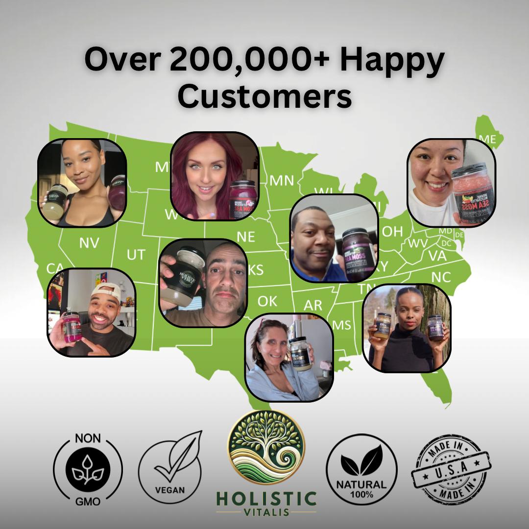 Elderberry & Soursop Sea Moss Gel | Organic Wildcrafted Immunity & Energy Blend (Fresh)