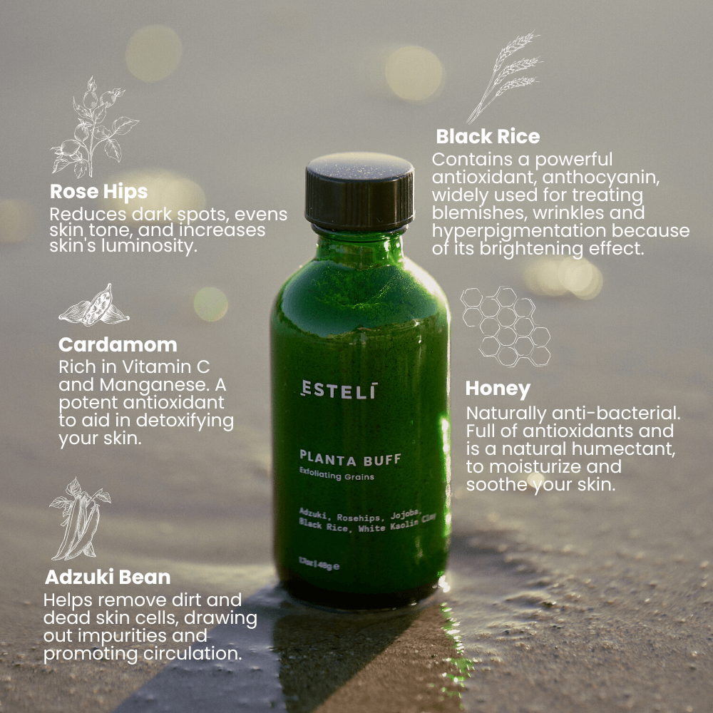 Planta Buff Exfoliating Grains | 1.7oz - 48gr