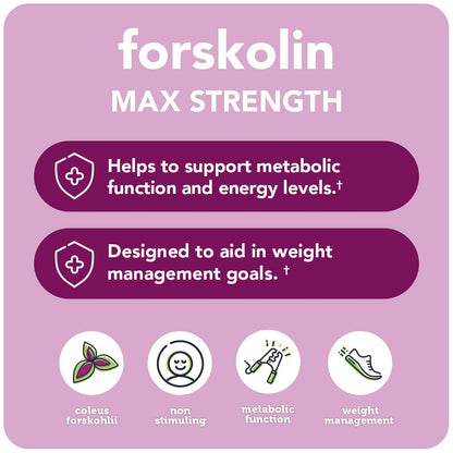 Forskolin Max Strength / 500 mg Coleus Forskohlii Extract (Plant-Based Blend, 60 Capsules)
