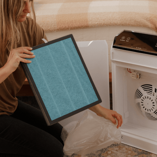 AIR FILTER - Replacement Filter