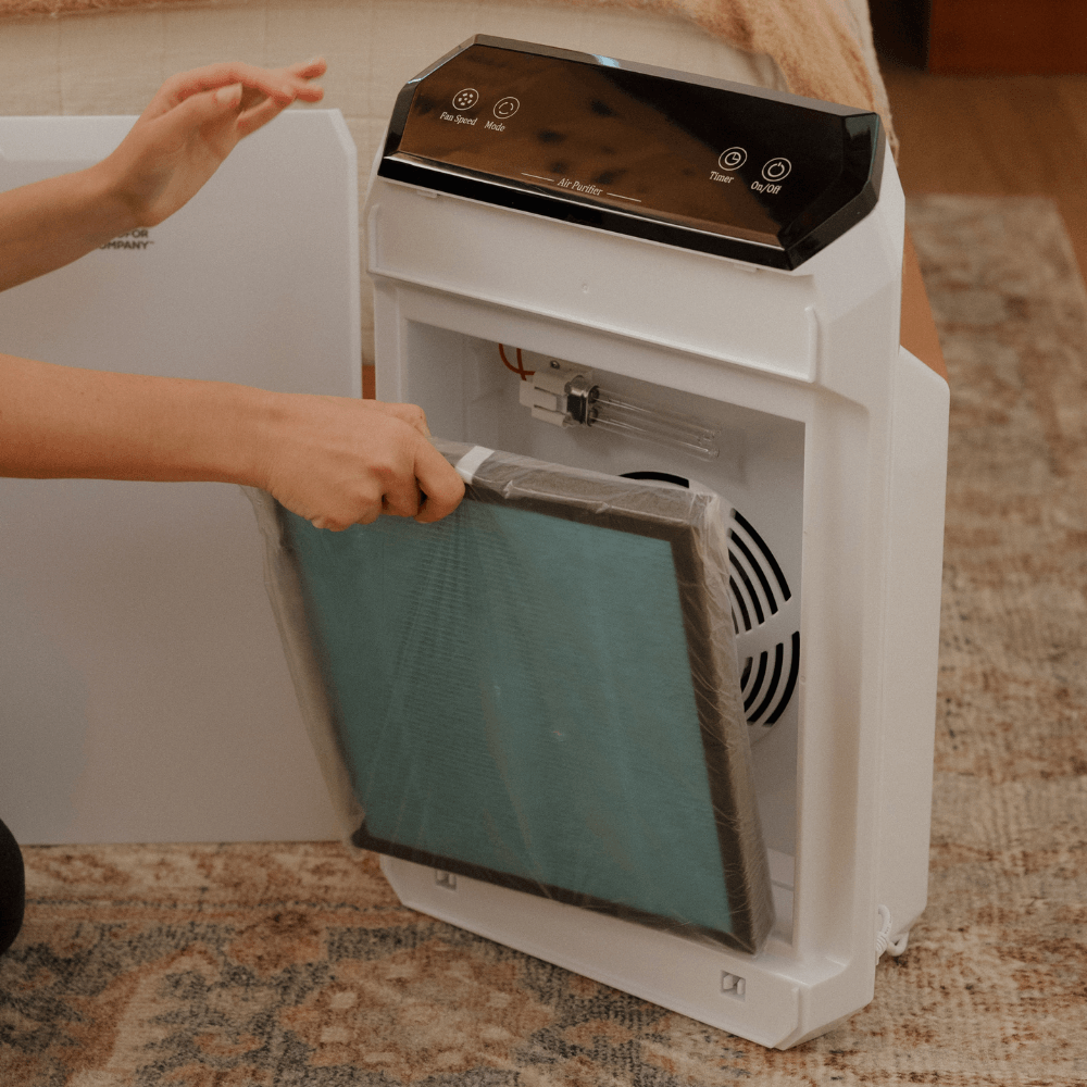 AIR FILTER - Replacement Filter