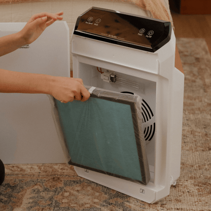 AIR FILTER - Replacement Filter