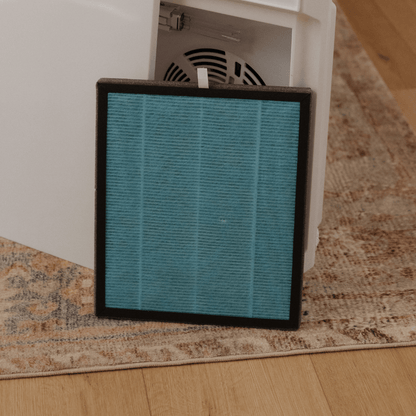 AIR FILTER - Replacement Filter