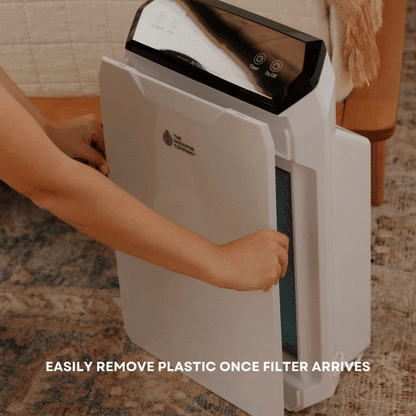 AIR FILTER - Replacement Filter