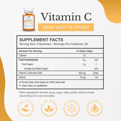 Halal Adult Immunity Booster Bundle – Multivitamin Gummies (90ct), Vitamin C Gummies (90ct) & Omega-3 Fish Oil (60 Softgels)